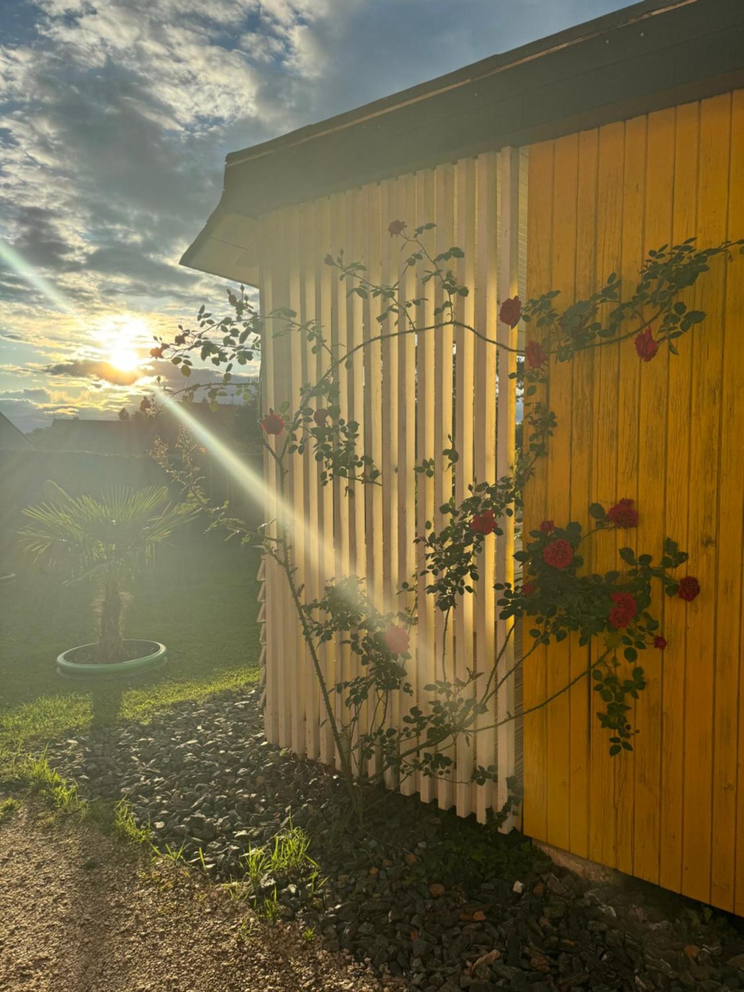 Bungalows Sonnenblume Am Klopeiner See Sankt Kanzian am Klopeiner See Ngoại thất bức ảnh